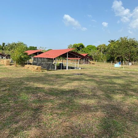 Hotel - Granja De Animales San Basilio De Palenque San Basilio del Palenque Buitenkant foto