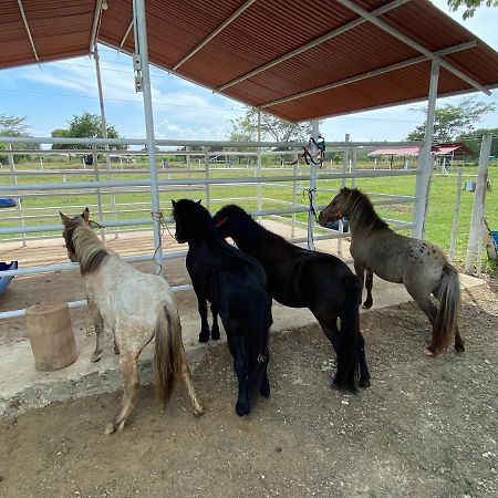 Hotel - Granja De Animales San Basilio De Palenque San Basilio del Palenque Buitenkant foto