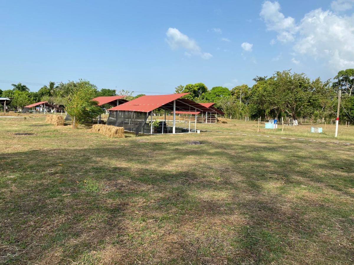 Hotel - Granja De Animales San Basilio De Palenque San Basilio del Palenque Buitenkant foto