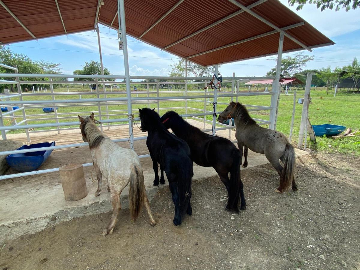 Hotel - Granja De Animales San Basilio De Palenque San Basilio del Palenque Buitenkant foto