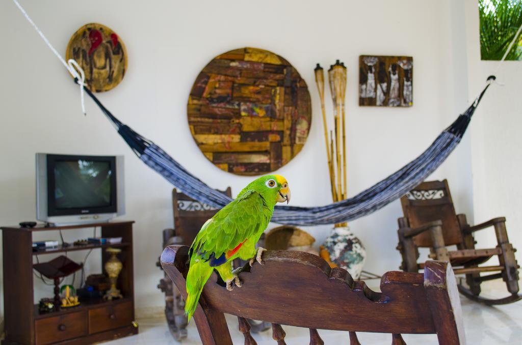Hotel - Granja De Animales San Basilio De Palenque San Basilio del Palenque Buitenkant foto
